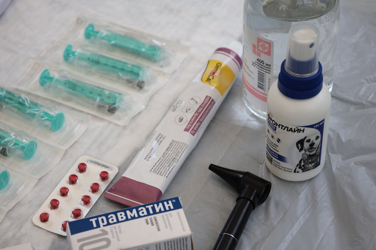 Home Veterinary medical supplies including syringes, pills, and spray displayed on a table.