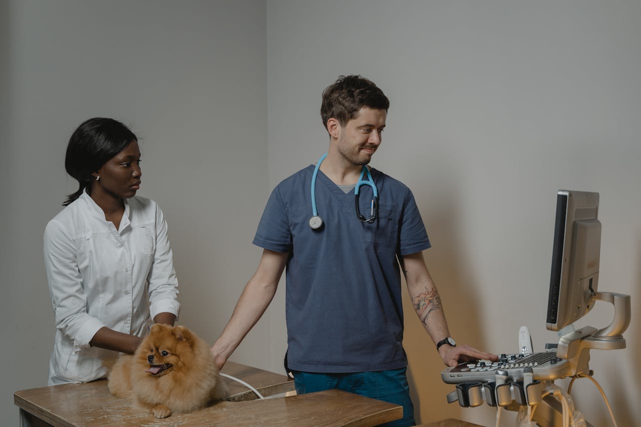 The Art of Drawing Readers In: Your attractive post title goes here Veterinarian performs ultrasound check-up on dog with veterinary assistant present.
